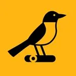 Stogiebird discount code